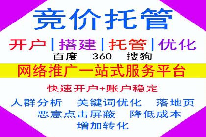 SEM代理案例：揭秘成功背后的秘密